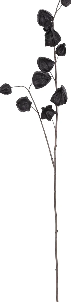 Mica Decorations Kunstzweig Physalis 94 x 17 x 4 cm zwart