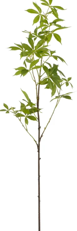 Mica Decorations Kunstzweig Maniok (Cassave) grün L 108 cm