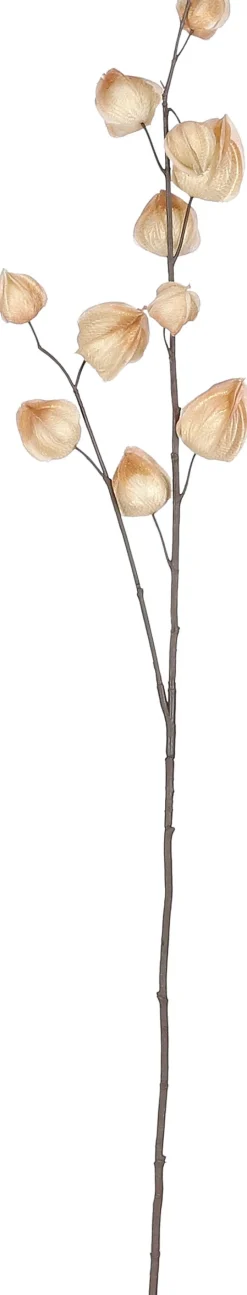 Mica Decorations Kunstzweig Physalis 94 x 17 x 4 cm creme