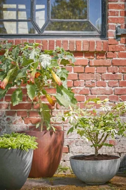 Mica Decorations Pflanzschale Bravo grau D 35 H 17 cm