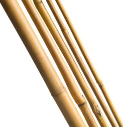 Nature Bambusstab 120 cm x 10-12 mm 5 St.