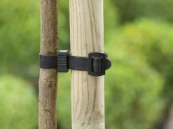 Nature Baumband mit Schnalle 45 x 2,5 cm