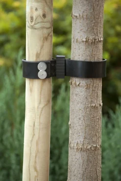 Nature Baumbinder Band breit 90 x 3,8 cm