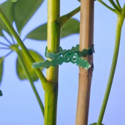 Nature Bindeband 25 m