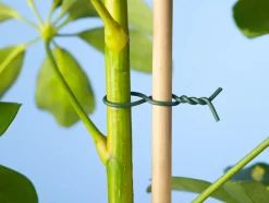 Nature Bindedraht mit Kunststoff ummantelt 1,2 mm x 50 m grün