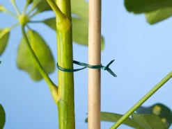 Nature Bindedraht mit Metallkern 100 m grün