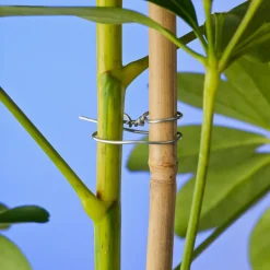 Nature Bindedraht verzinkt D 0,7 mm x 50 m