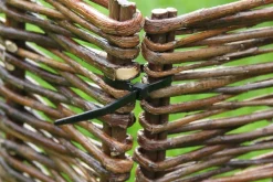 Nature Kabelbinder 30 cm schwarz 25 St.