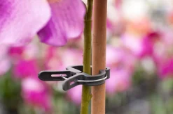 Nature Pflanzenclips D 24 mm 10 St.