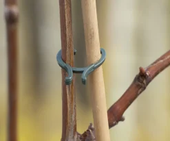 Nature Pflanzenklammern 15 x D16mm, 15 x D20mm und 10 x D25mm