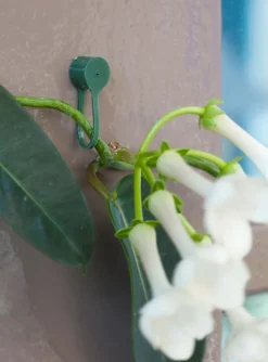 Nature Pflanzenklammern grün D 15 mm 15 St.