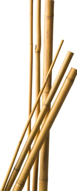 Nature Pflanzstab Bambus H 210 cm D 16-18 mm 3 St.
