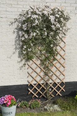 Nature Rankgitter 50 x 150 cm