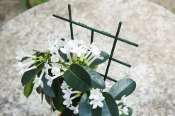 Nature Rankgitter für Zimmerpflanzen 37 x 23 cm 2 St.