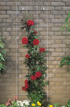 Nature Rankgitter Metall kunststoffbeschichtet 150 x 45 cm grün