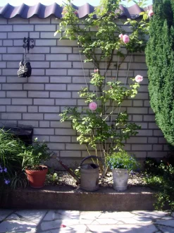 Nature Rankgitter V-Form Metall 150 x 5-75 cm grün