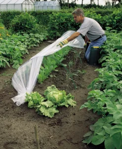 Nature Tunnelbogen für Folientunnel H 48 D 56 cm