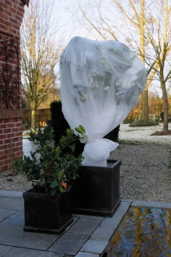 Nature Winterschutzvlies 1 x 10 m weiß