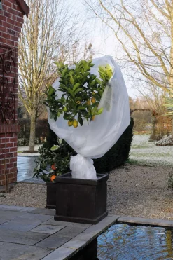 Nature Winterschutzvlies 1 x 10 m weiß