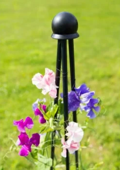 Peacock Kuppel-Stab-Verbinder