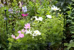 Peacock Stützring halbrund grün  64 x 64 x 22 cm