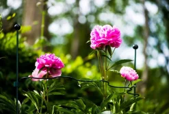 Peacock Stützring Kreis Wellenform halbrund grün D 54 cm