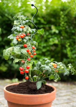 Peacock Stützstab Spiral grün D 5 H 75 cm