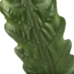 Pfeilblatt (Alocasia 'Lauterbachiana') D 19 cm H 75 cm