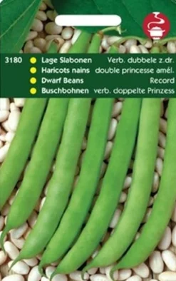 Prinzessbohnen (Phaseolus vulgaris 'verbesserte doppelte Prinzess') Samen