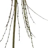 Salweide (Salix caprea 'Kilmarnock') D 22 H 140 cm