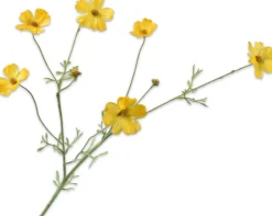 Silk-Ka Kunstblume Cosmos gelb 77 cm