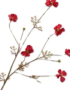 Silk-Ka Kunstblume Cosmos rot 77 cm