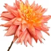 Silk-Ka Kunstblume Dahlie orange 65 cm