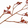 Silk-ka Kunstblume Känguru-Blume orange 72 cm