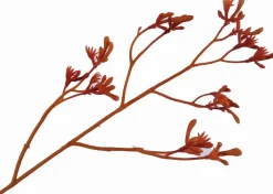 Silk-ka Kunstblume Känguru-Blume orange 72 cm