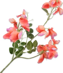 Silk-Ka Kunstblume Lathyrus orange 73 cm