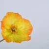 Silk-ka Kunstblume Mohn orange 69 cm