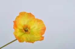 Silk-ka Kunstblume Mohn orange 69 cm