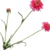Silk-Ka Kunstblume Scabiosa violett 66 cm