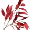 Silk-Ka Kunstzweig Eucalyptus 119 cm rot