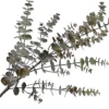 Silk-Ka Kunstzweig Eukalyptus 111 cm grün