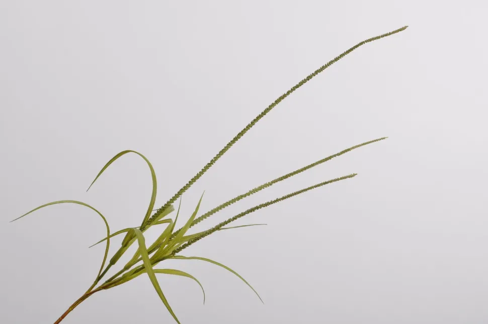 Silk-Ka Kunstzweig Gras 135 cm grün