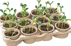 Sogo Eco Anzucht-Set inkl. 12 Anzuchttöpfchen 7,5 x 40 x 28 cm