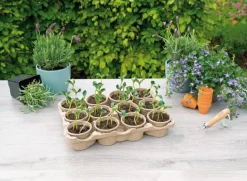 Sogo Eco Anzucht-Set inkl. 12 Anzuchttöpfchen 7,5 x 40 x 28 cm