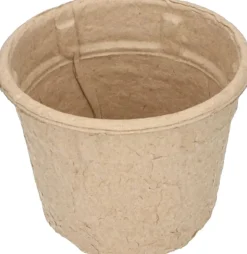 Sogo Eco Anzucht-Set inkl. 12 Anzuchttöpfchen 7,5 x 40 x 28 cm