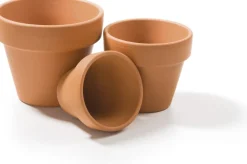 SOGO Terrakotta Anzuchttopf D 4/5 cm 12 St.