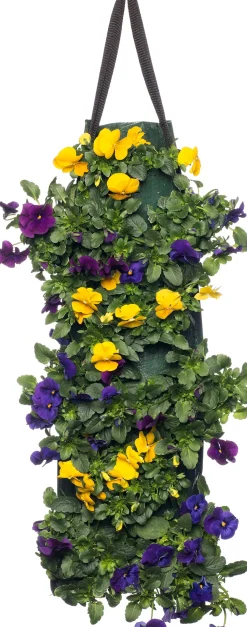 Stiefmütterchen Wandhänger (Viola) D 20 H cm