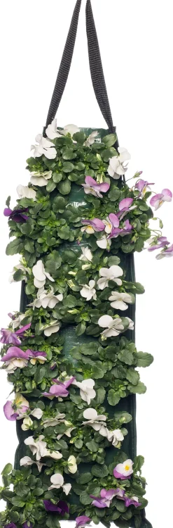 Stiefmütterchen Wandhänger (Viola) D 20 H cm