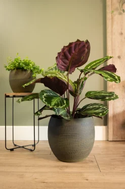 TS Blumentopf Dex grün D 28 H 25 cm