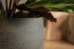 TS Blumentopf Dex grün D 17 H 13 cm